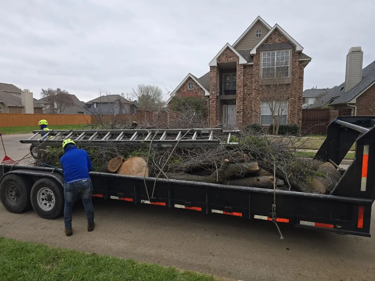 Expert Tree Removal with proper safety equipment in Macks Inn